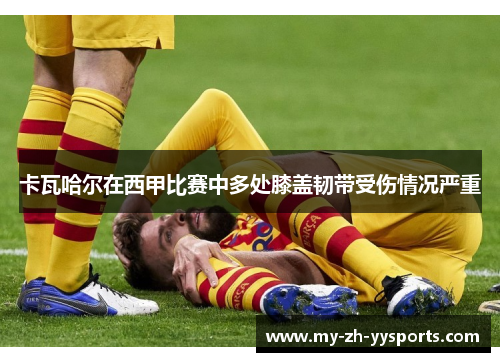 卡瓦哈尔在西甲比赛中多处膝盖韧带受伤情况严重 卡瓦哈尔在西甲比赛中多处膝盖韧带受伤情况严重